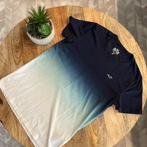 Hollister T shirt